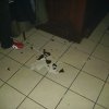 bild 030